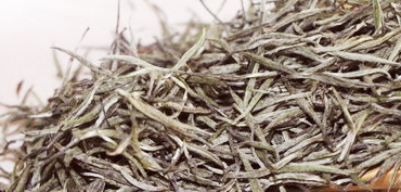 福鼎白茶如春茶業(yè):如春牌、如初、有機(jī)白茶、