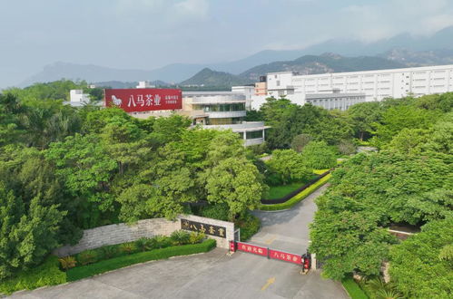 走進(jìn)八馬茶業(yè)安溪總工廠(chǎng) ,赴一場(chǎng)會(huì)回甘的約