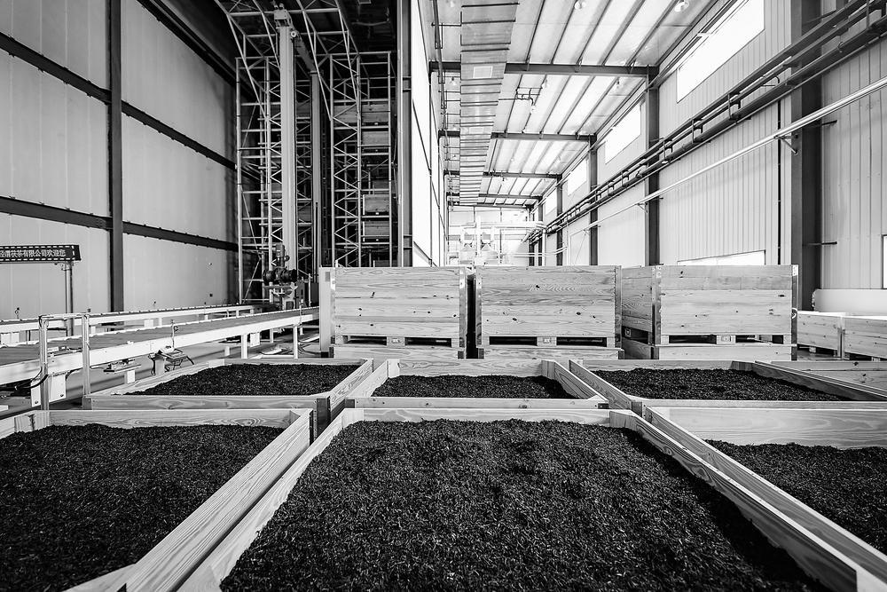 茶工廠也能搞出&ldquo;黑科技&rdquo;