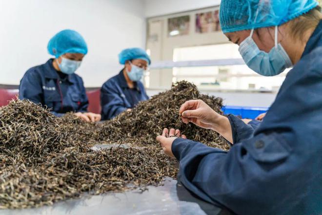 一年凈賺200多萬!很多餐廳經營者都忽略了餐茶的威力