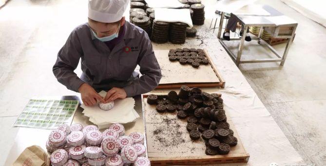 茶業(yè)大鱷重回勐海,國(guó)飲中茶王者歸來(lái)!