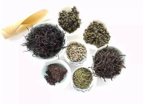 2017北京國(guó)際茶業(yè)展