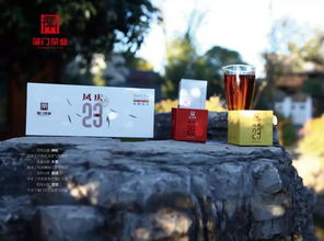 蒲門(mén)茶業(yè)將亮相6月沈陽(yáng)茶博會(huì)