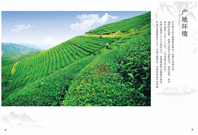 正山堂茶業(yè)宣傳畫冊(cè)