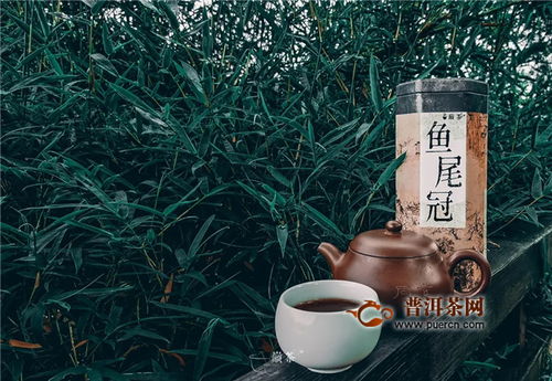 翠竹隨風(fēng)樂，尾魚逐水流——巔茶茶業(yè)的文化與自然之美
